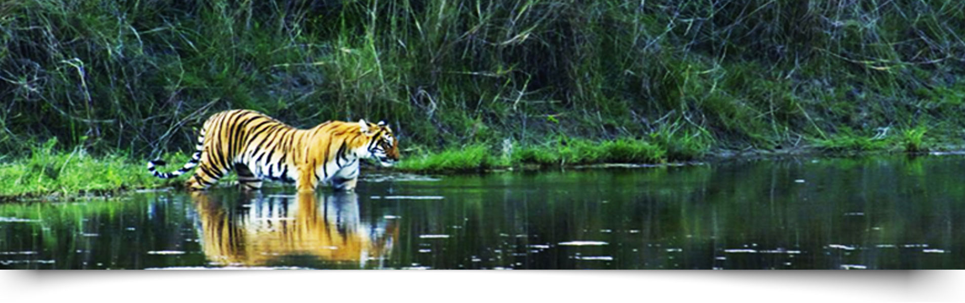 Do and Do Not in Jim Corbett